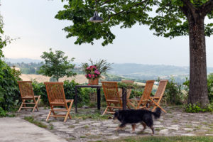 Mombisagio Giugnio 2019-186