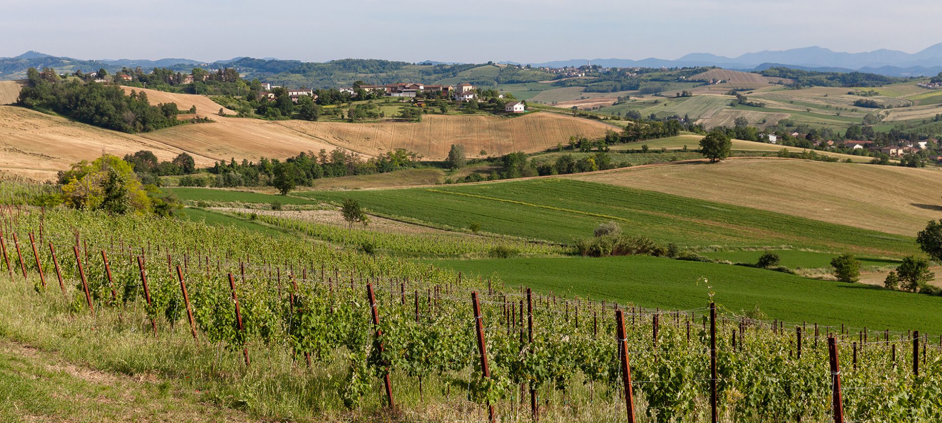 cropped-Mombisagio-Giugnio-2019-129b