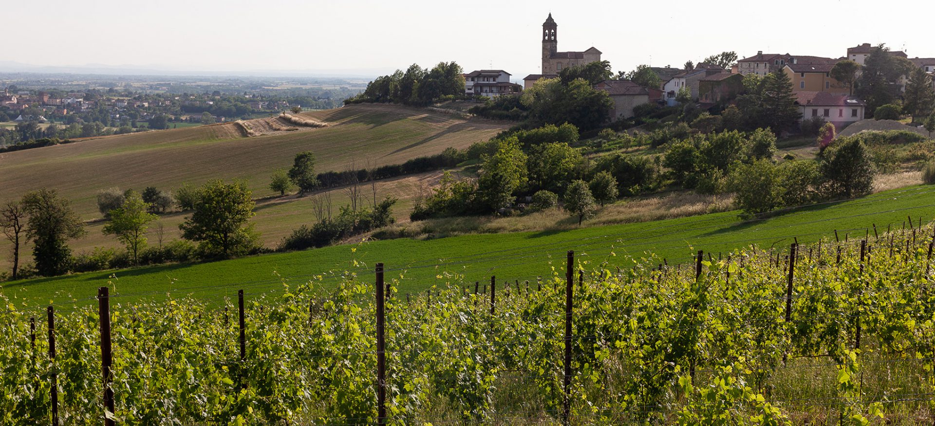 cropped-Mombisagio-Giugnio-2019-142b