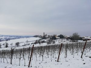 photo_2021-01-28_10-20-59