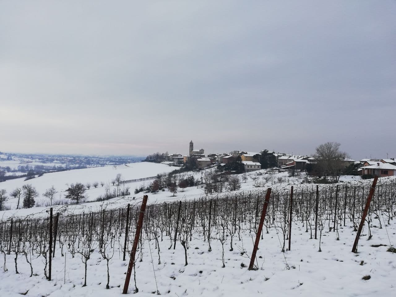 photo_2021-01-28_10-20-59