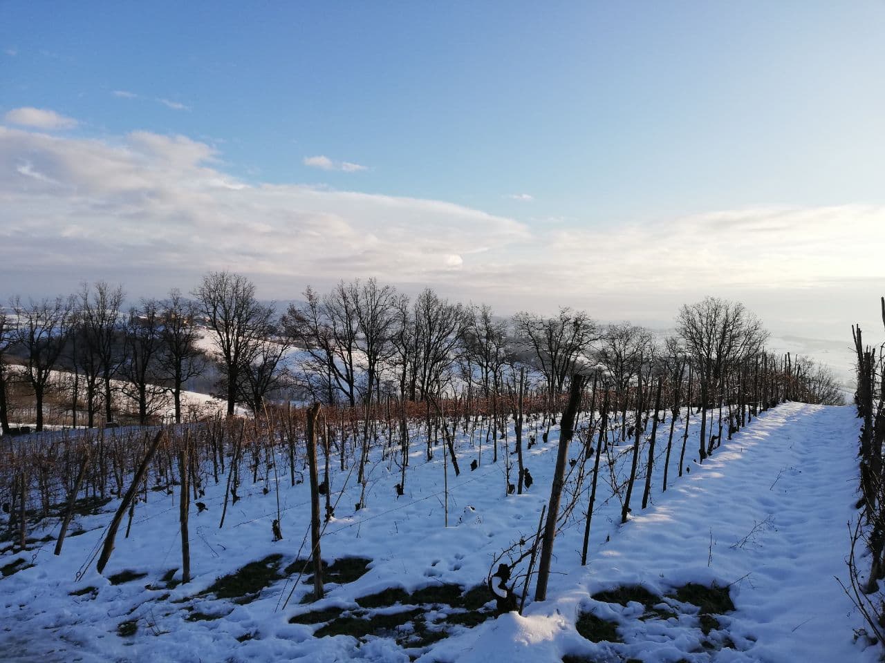 photo_2021-01-28_10-21-02