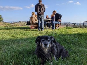 photo_2021-10-25_15-52-25