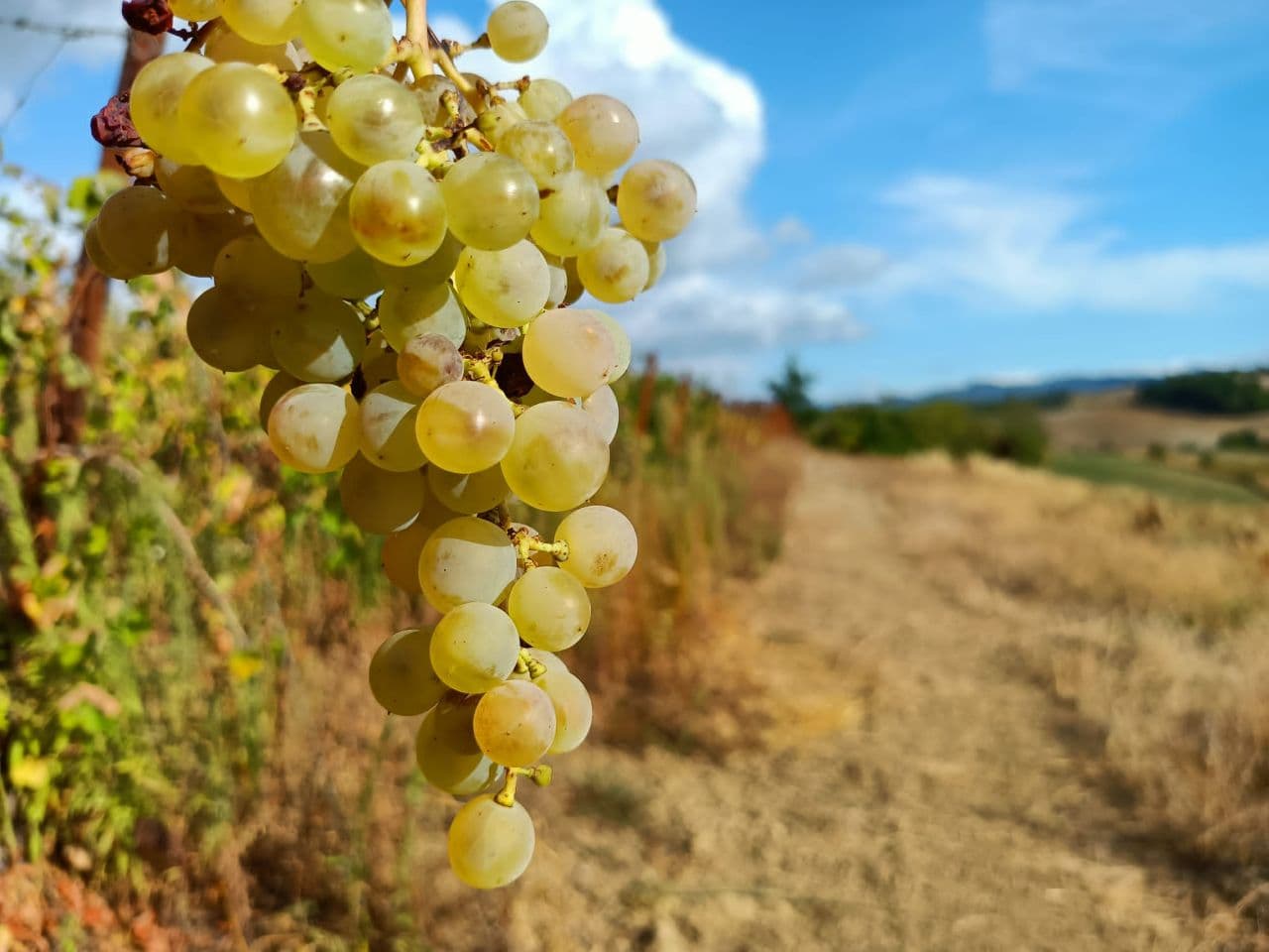 photo_2021-10-25_15-53-56